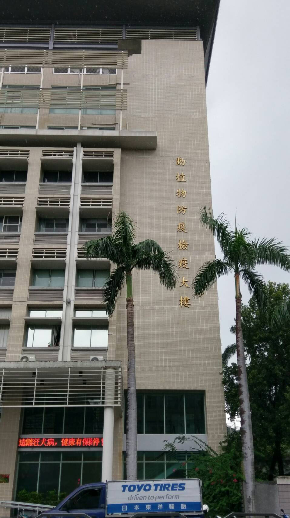 農委會動植物防疫檢疫局建築隔熱紙工程